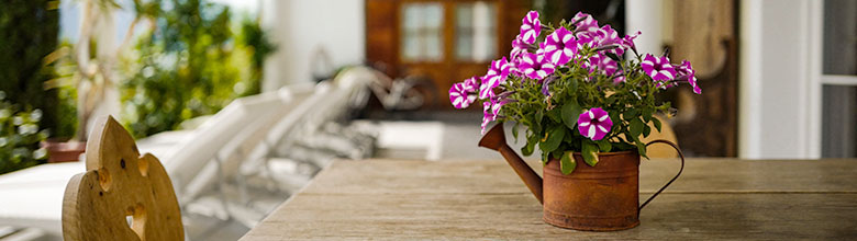 Slideshow_Blumenkanne